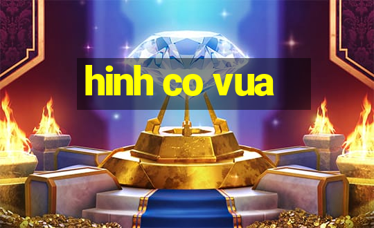 hinh co vua