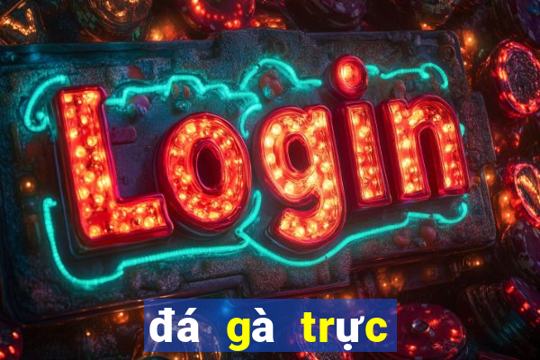 đá gà trực tiếp casino 369