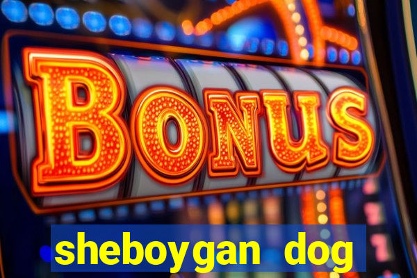 sheboygan dog training club