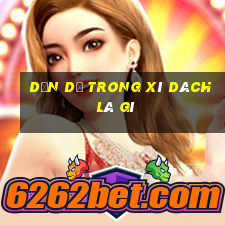 dằn dơ trong xì dách là gì