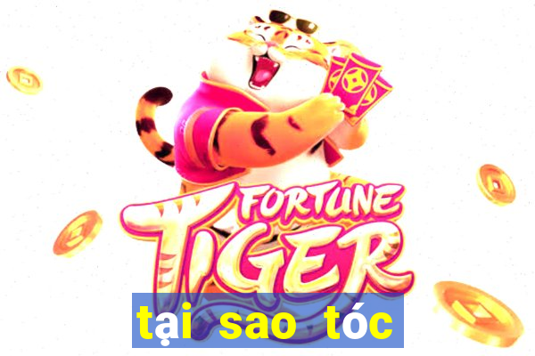 tại sao tóc dễ bết