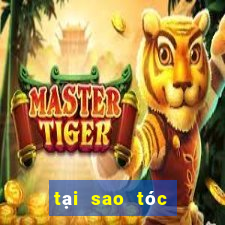 tại sao tóc dễ bết