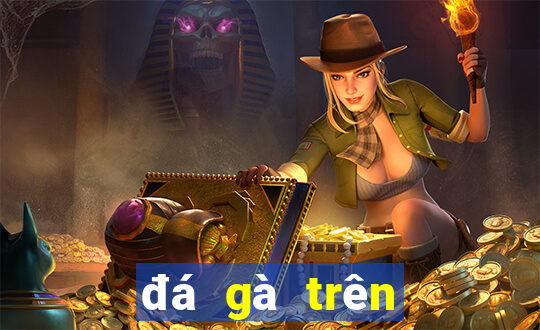 đá gà trên casino trực tiếp