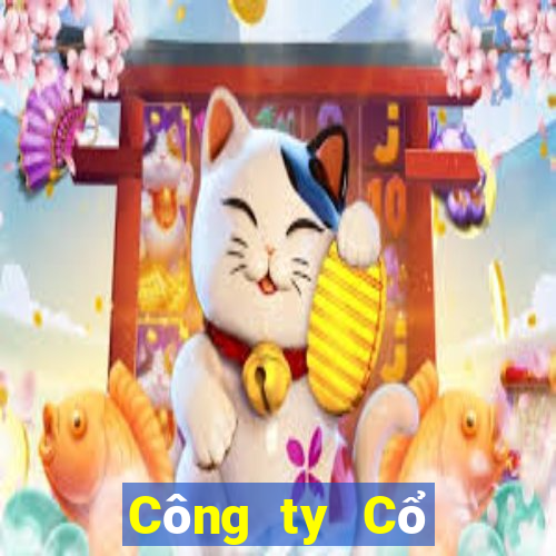 Công ty Cổ phần Giải trí bc