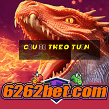 cầu đề theo tuần