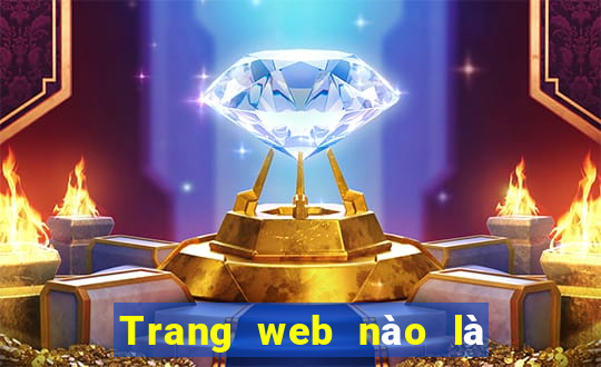 Trang web nào là nền tảng bbin