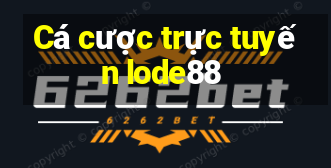 Cá cược trực tuyến lode88