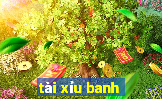 tài xỉu banh