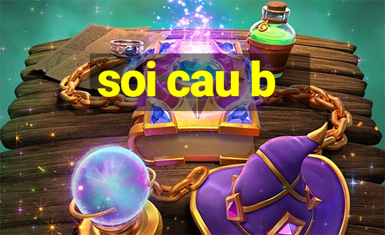 soi cau b