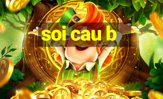 soi cau b