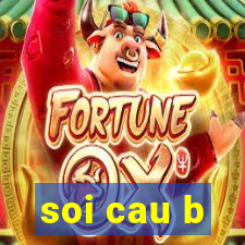 soi cau b