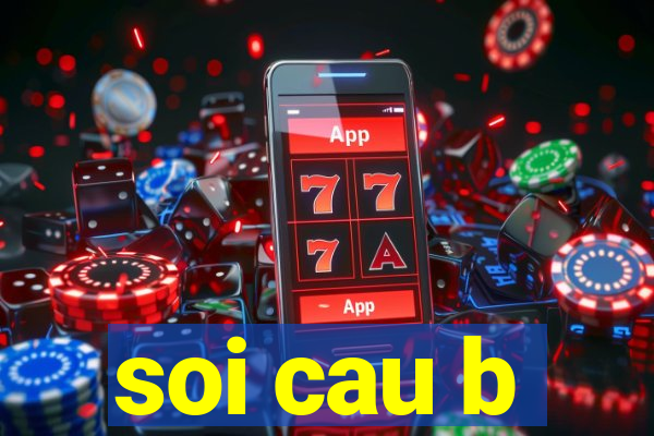 soi cau b