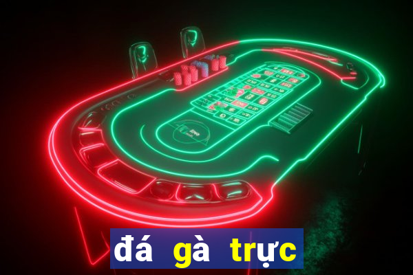 đá gà trực tiếp 67