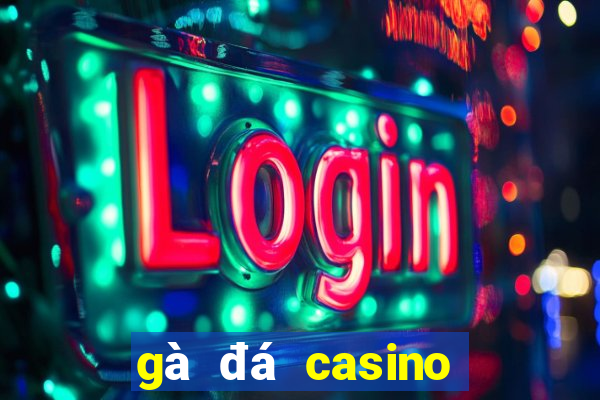 gà đá casino trực tiếp