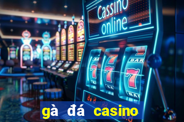 gà đá casino trực tiếp