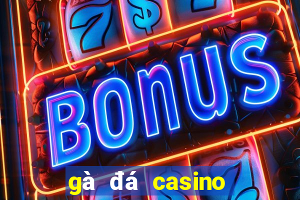 gà đá casino trực tiếp