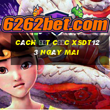 Cách đặt cược XSDT123 ngày mai