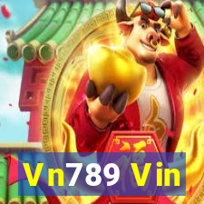 Vn789 Vin