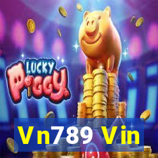 Vn789 Vin