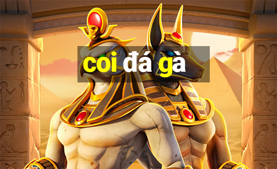 coi đá gà