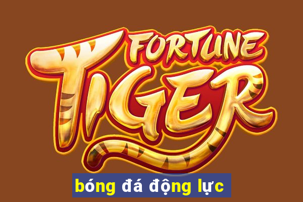 bóng đá động lực