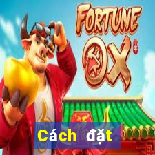 Cách đặt cược XSTB ngày 14