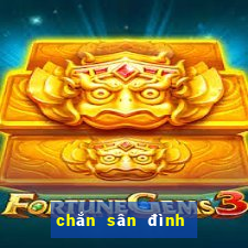 chắn sân đình chắn online