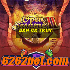 ban ca trum