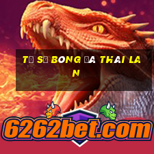 tỷ số bóng đá thái lan