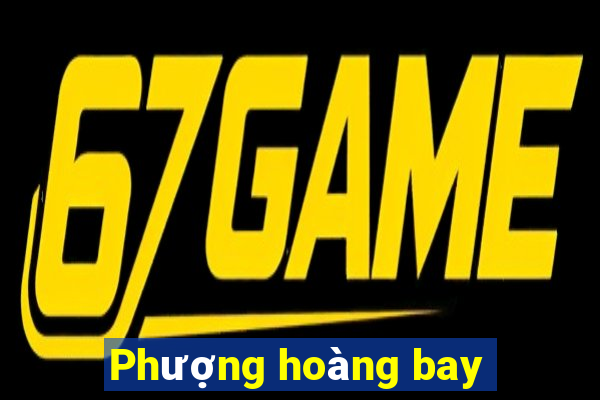 Phượng hoàng bay