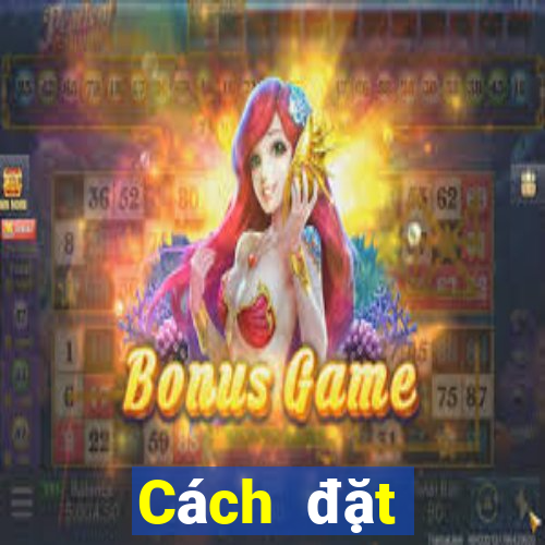 Cách đặt cược XSNT ngày 22