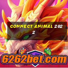 connect animal 2022