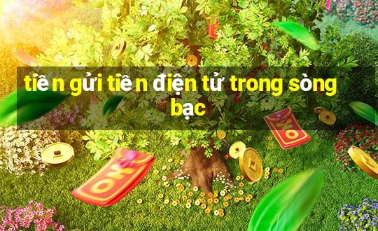 tiền gửi tiền điện tử trong sòng bạc