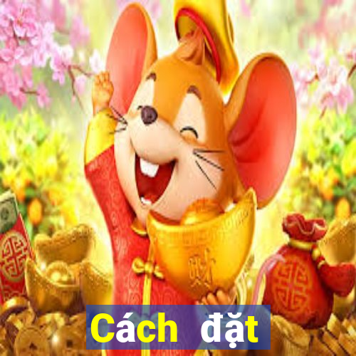 Cách đặt cược XSTTH ngày 16