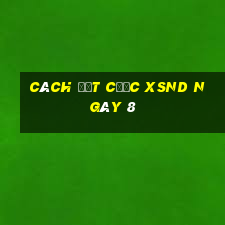 Cách đặt cược XSND ngày 8