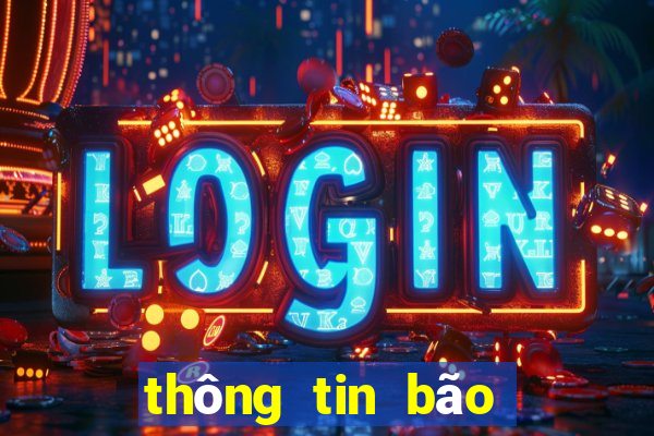 thông tin bão số 13