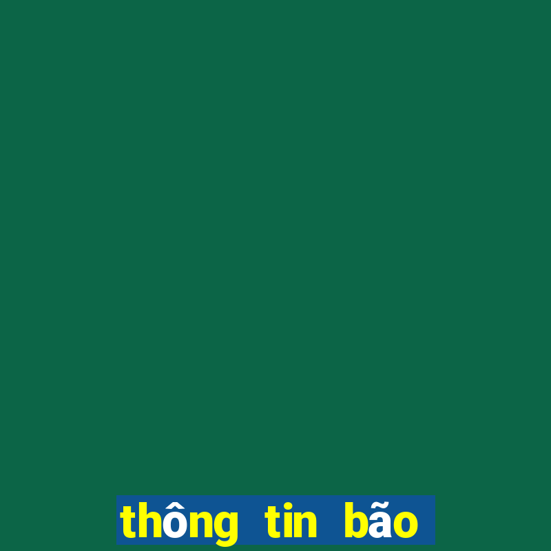 thông tin bão số 13