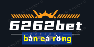 bắn cá rồng