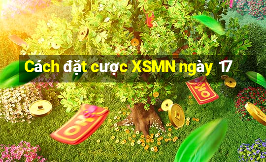 Cách đặt cược XSMN ngày 17