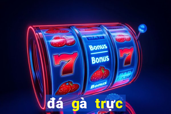 đá gà trực tiếp trên mạng casino