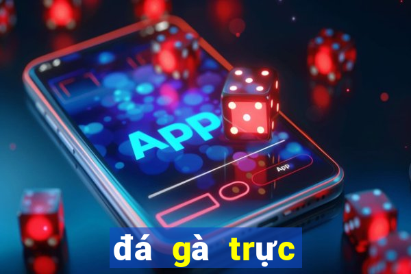 đá gà trực tiếp trên mạng casino