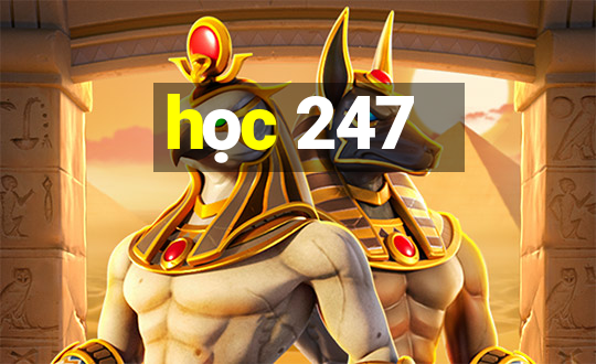 học 247