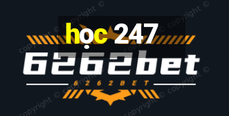 học 247