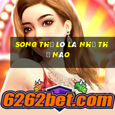 song thủ lô là như thế nào