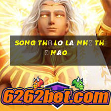 song thủ lô là như thế nào