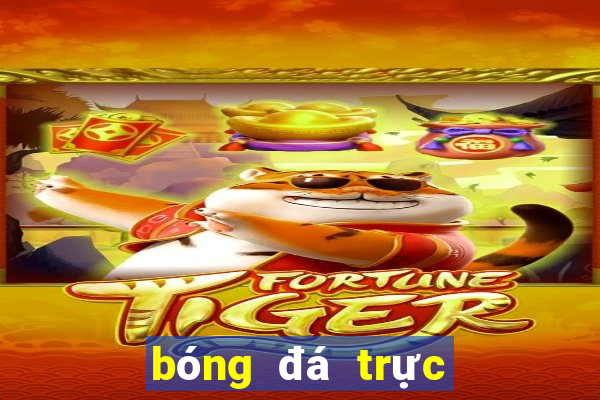 bóng đá trực tiếp vtv cần thơ