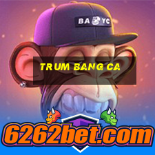 trum bang ca