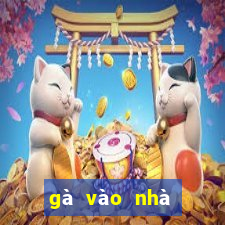 gà vào nhà tốt hay xấu