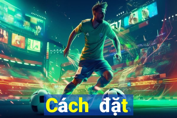 Cách đặt cược XSTV ngày 11