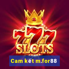 Cam kết m.for88